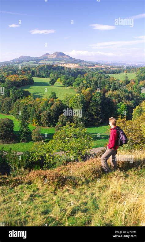 Autumn Scotts View In The Scottish Borders Hill Walker Admiring The