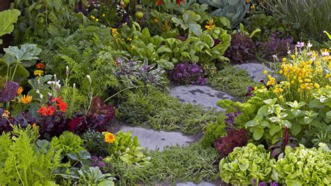 The Low Maintenance Edible Garden For Lazy Gardeners Bbc Food