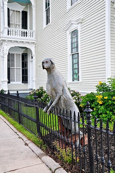 Share Good Stuffs Dead Tree Sculptures In Galveston Island