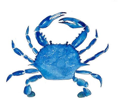 Blue Crab Print From Original Watercolor Chesapeake Bay Blue Crab Wall