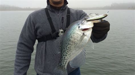 Multi Species Fishing At Little Seneca Lake Bass Perch Crappie Md