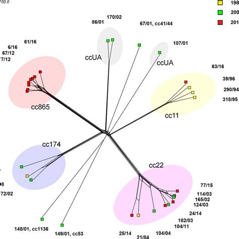 Genetic Relationships Between N Meningitidis Serogroup W Isolates From Download Scientific