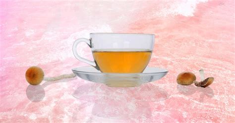 How To Make Shroom Tea The Ultimate Mushroom Tea Guide Doubleblind
