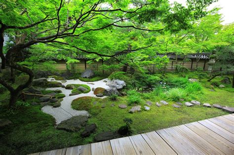 日本 庭園 白砂 水 の 流れ lucas parr