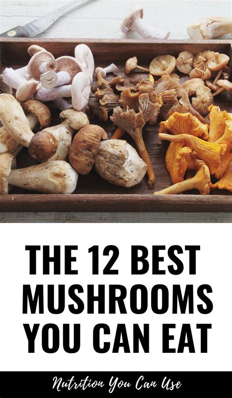 The 12 Healthiest Mushrooms That You Can Eat Stuffed Mushrooms Food
