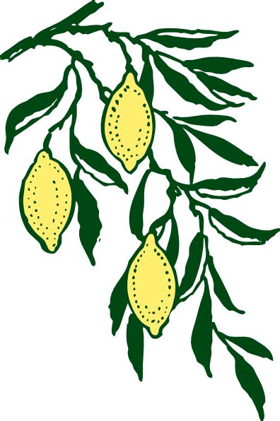 Lemon Slice Clip Art Free Vector In Open Office Drawing Svg Clipartix