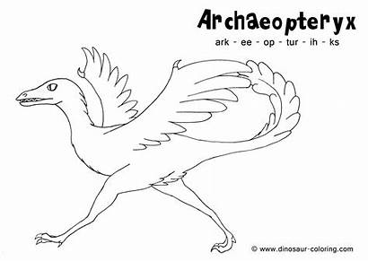 Coloring Archaeopteryx Dinosaur Printable Pages Template Colouring