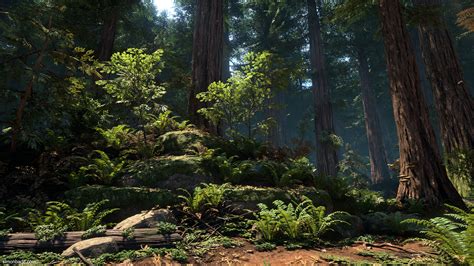 If you ask us, the redwood forest will bring a lot more of a 'prehistoric' feeling to part of the island, with humongous trees that. Redwood Forest UE4 — polycount