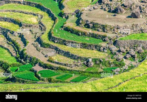 Landscape Agriculture Yemen Hi Res Stock Photography And Images Alamy