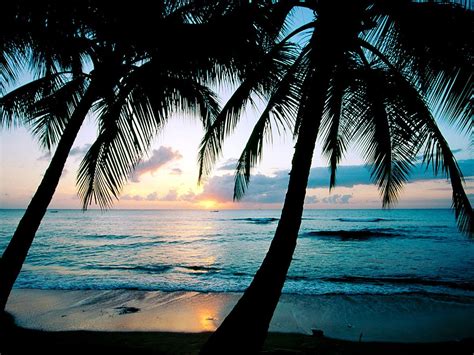 Bureaublad Achtergrond Strand Natuur Tropen 🔥 Gratis Beste Achtergronden