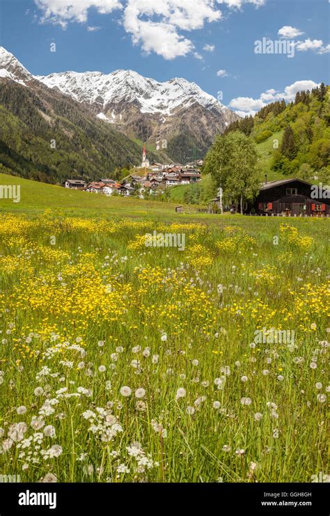 Geography Travel Italy South Tyrol The Village Muehlwald Tauferer