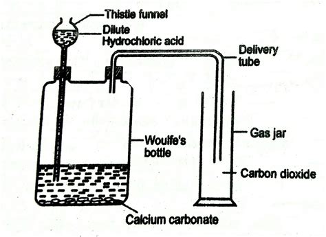 How Is Carbon Dioxide Prepared In A Laboratory