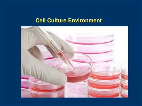 Ppt Cell Culture Environment Powerpoint Presentation Free Download