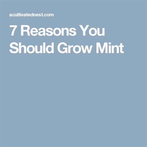7 Reasons You Should Grow Mint Easy Herbs To Grow Mint Growing