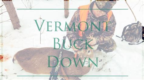 Temps Down Buck Down Vermont Deer Hunt Youtube