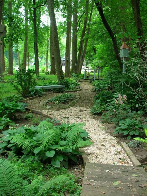 Top 10 Woodland Garden Ideas To Enhance Your Backyard With Images