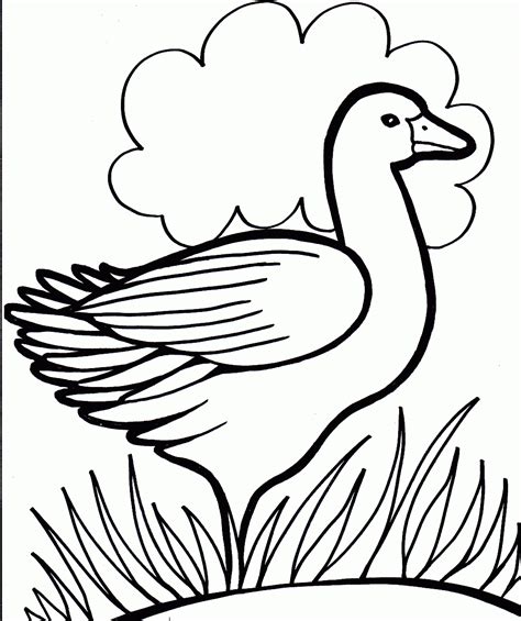 Coloring these pages will allow you to explore your coloring abilities and relax at the same time. Duck Coloring Pages - Best Coloring Pages For Kids