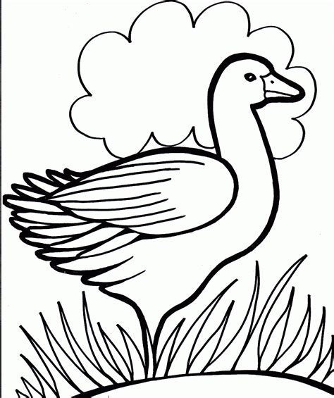 Download Duck Coloring Pages - Best Coloring Pages For Kids