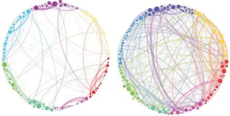 Astonishing Map Shows Brain On Magic Mushrooms