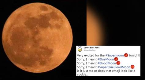 Super Blue Blood Moon Twitter Bursts With Excitement And