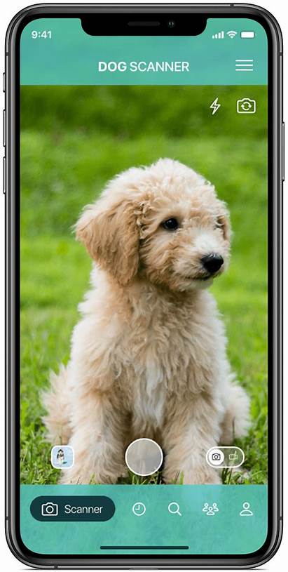 Dog Scanner App Breed Screenshot