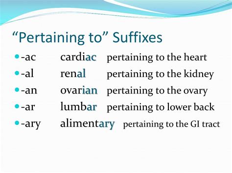 Ppt Suffixes Powerpoint Presentation Free Download Id2507057