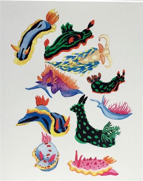 Colourful Nudibranchs Art Print Sea Slugs Marine Etsy Canada