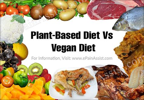 plant based diet vs vegan diet differences worth knowing