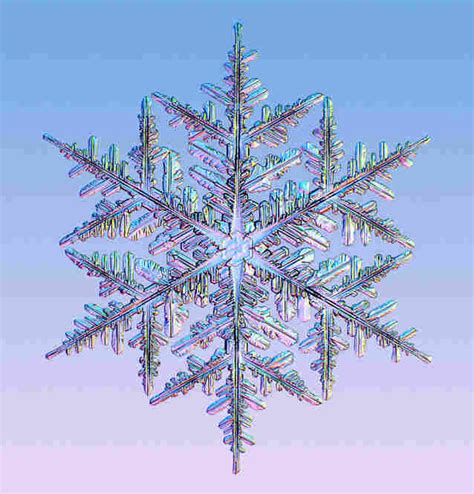 Snowflake Shapes Shine Under The Microscope Npr