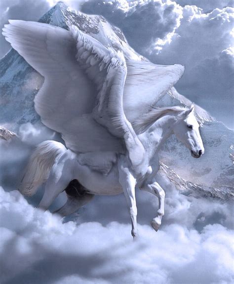 Pegasus Unicorn Fantasy Pegasus Art Pegasus