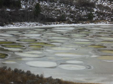 Spot Lake Osoyoos Bc