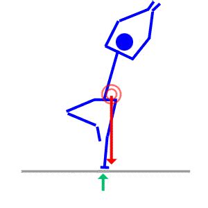 What is the center of gravity of a triangle in this system? Posture and Body Mechanics