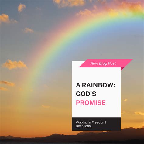 A Rainbow Gods Promise Embrace Freedom
