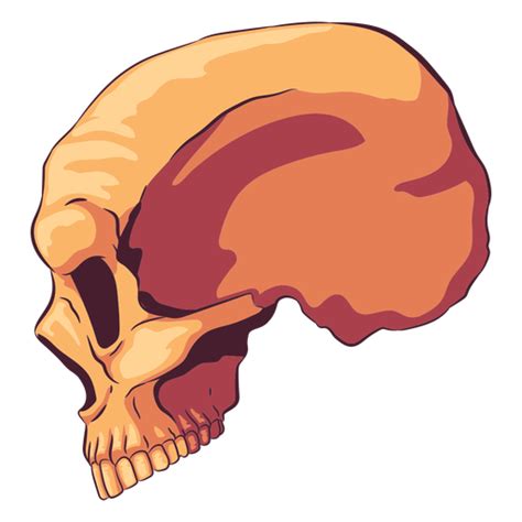 Cool Skull Profile