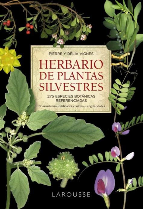 Herbario De Plantas Silvestres Para Saber Mas Vignes Pierre Vignes My