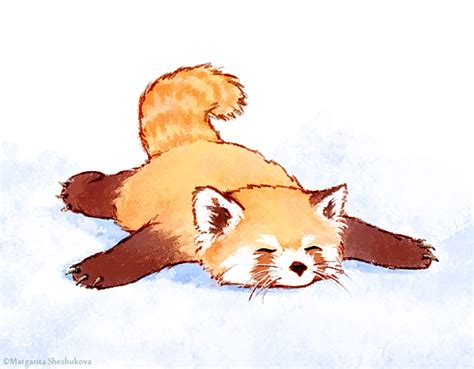 Red Panda Deviantart ♡ Oh So Cute ♡ Cute Animal Illustration