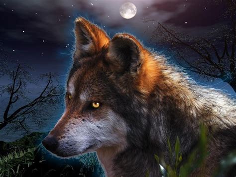 We are sure you'll definitely love all these given hd images as they are specially made for desktop and. Wolf Wallpaper for Computer - WallpaperSafari