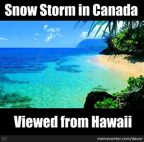 Hawaii Memes