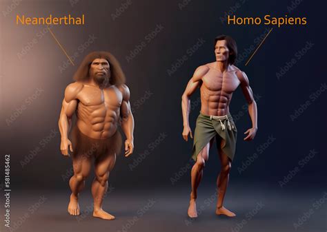 Neanderthal Vs Homo Sapiens Comparison Antropology Illustration Fictional Cartoon 3d