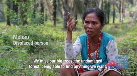 Indonesia Indigenous Peoples Losing Their Forests Youtube