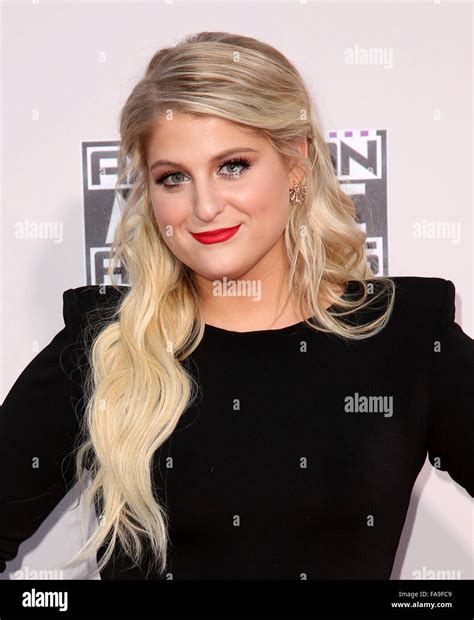 Celebrities Attend 2015 American Music Awards At Microsoft Theater Featuring Meghan Trainor