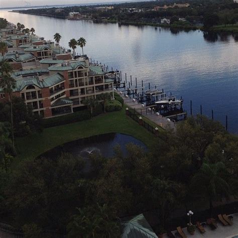 View From The Westin Tampa Harbour Island Harbour Island Tampa