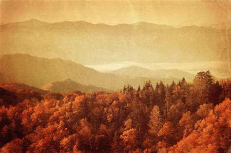7 Of Your Awesome Questions About The Great Smoky Mountains National