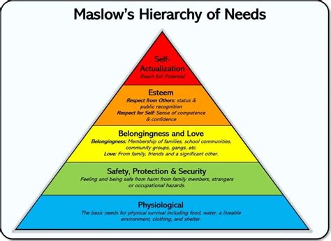 44 Maslows Hierarchy Of Needs Examples 2024