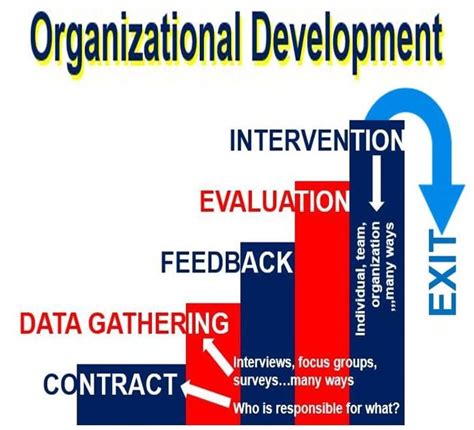 The Five Stages Of Organizational Development Explain