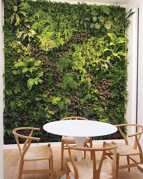 Indoor Vertical Garden And Living Wall By Plantwalldesign Plant Wall