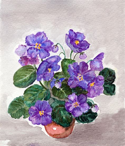 Watercolor Painting Of African Violet Digital Art By Mitza Pixels