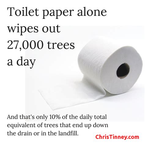 Switching To Eco Friendly Toilet Paper Can Help Save 27 000 Trees Per