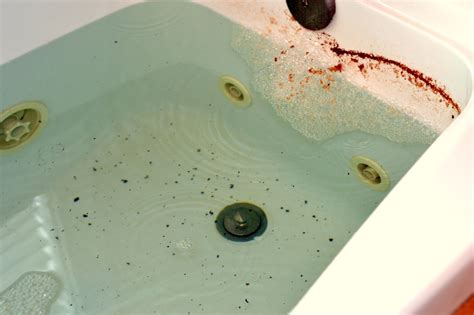 How To Clean Your Jetted Jacuzzi Tub With Bleach And 20 Mule Team Borax