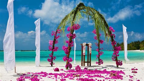 Your Dream Maldives Wedding Sheraton Maldives Resort